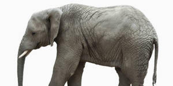 Hysterie 4.0 - unberührt vom Wandel der anderen